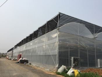 薄膜温室