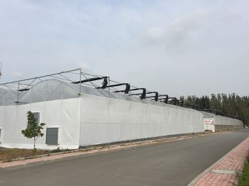 薄膜温室