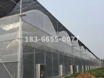 薄膜温室
