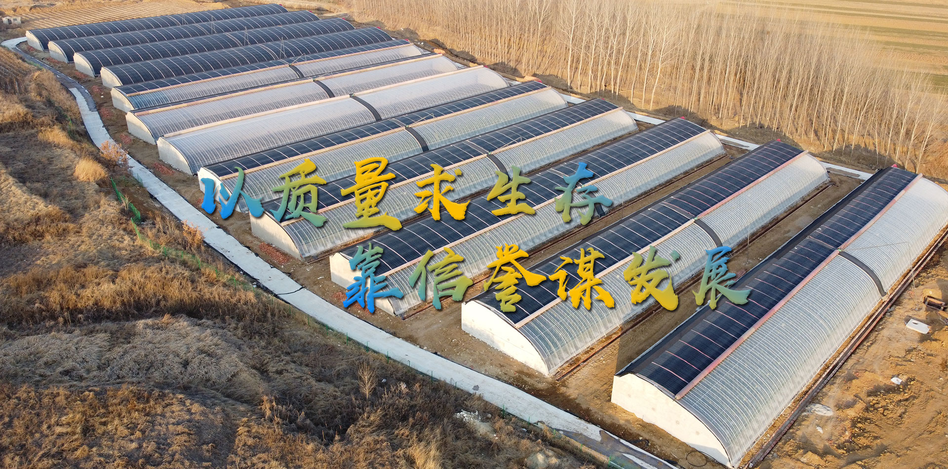 潍坊金盟温室工程有限公司